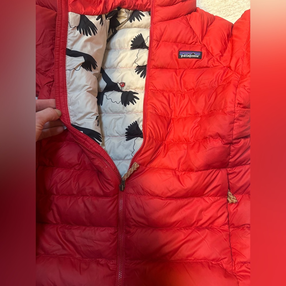 Patagonia Down Sweater Kids L Red Bird Print Lining